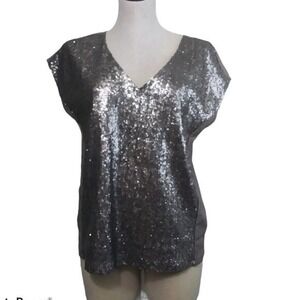 Stella & Dot Womens Sequin Front V-Neck Blouse Taupe Grey Short Sleeve S